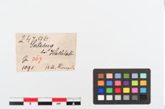 Etiketten zu Bronzering (NHMW-PRAE-024796)